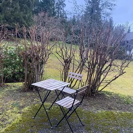 Im Schwarzwald Mit Pool Und Sauna *