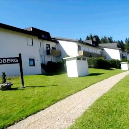 Im Schwarzwald Mit Pool Und Sauna * Шёнвальд